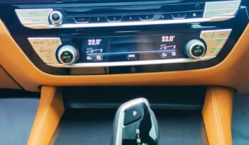 
									BMW 5 Series 530i M Sport full								